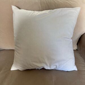 Pottery Barn down insert